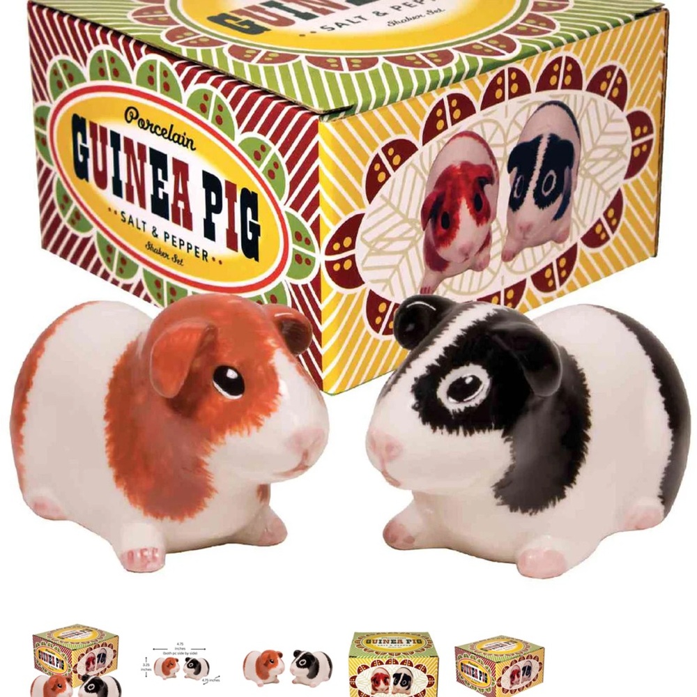 Guinea Pig Salt & Pepper Shaker Set - Porcelain